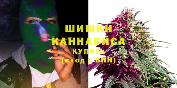 гидра Семилуки