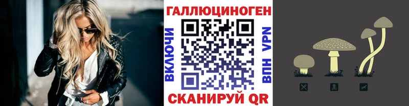 гидра сайт  Верхний Уфалей  Псилоцибиновые грибы Psilocybine cubensis 